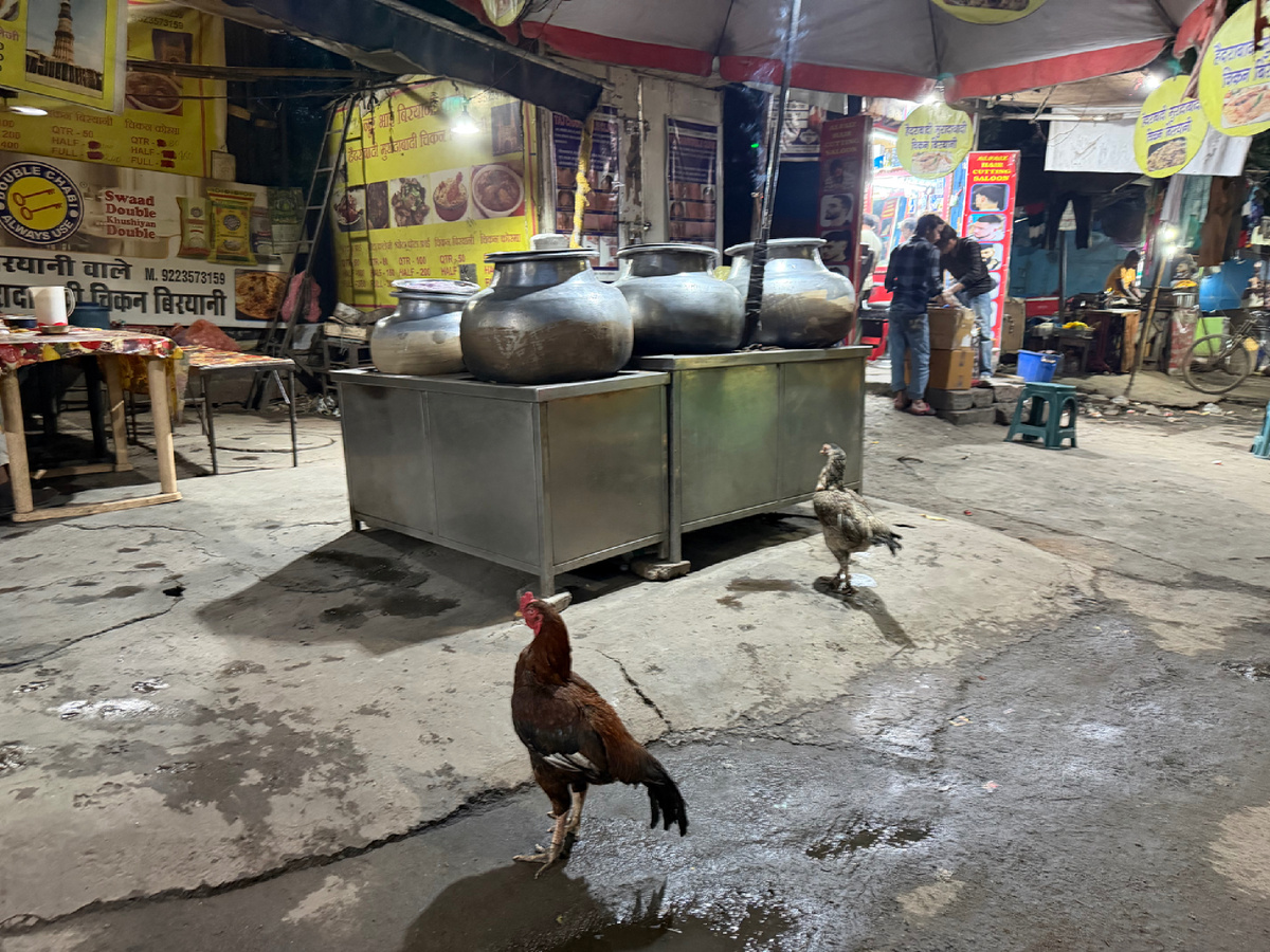 Чан с бириани прямо на улице — полное отсутствие санитарных норм