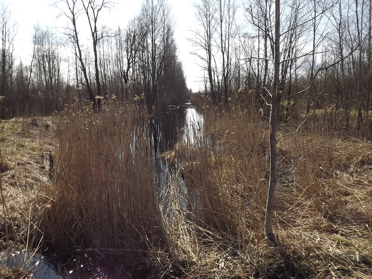 Канава - нешуточный рубеж