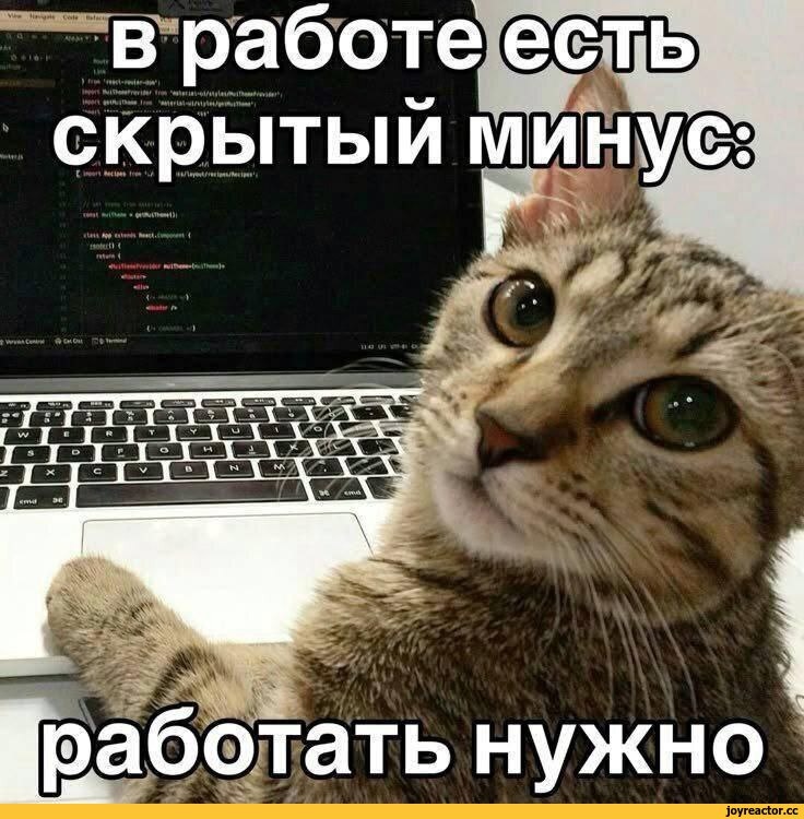 источник Яндекс-картинки