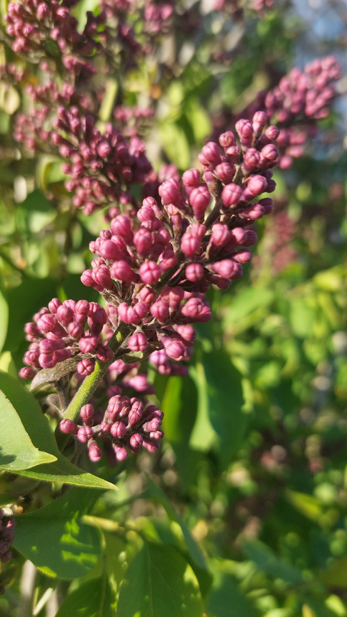 Скоро сезон)