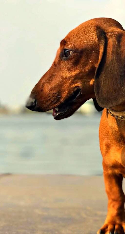 Наговаривают, это не я!)