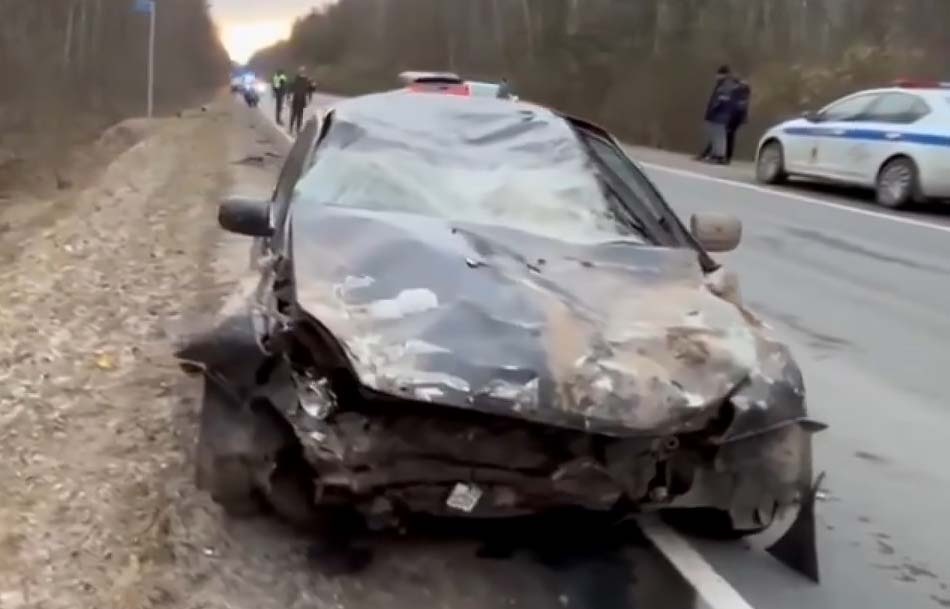    Соцсети / УМВД России по Ярославской области