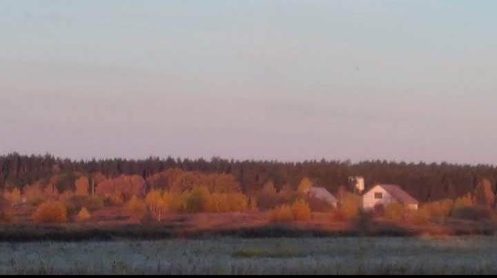 Фото : Сафия Лисовская 