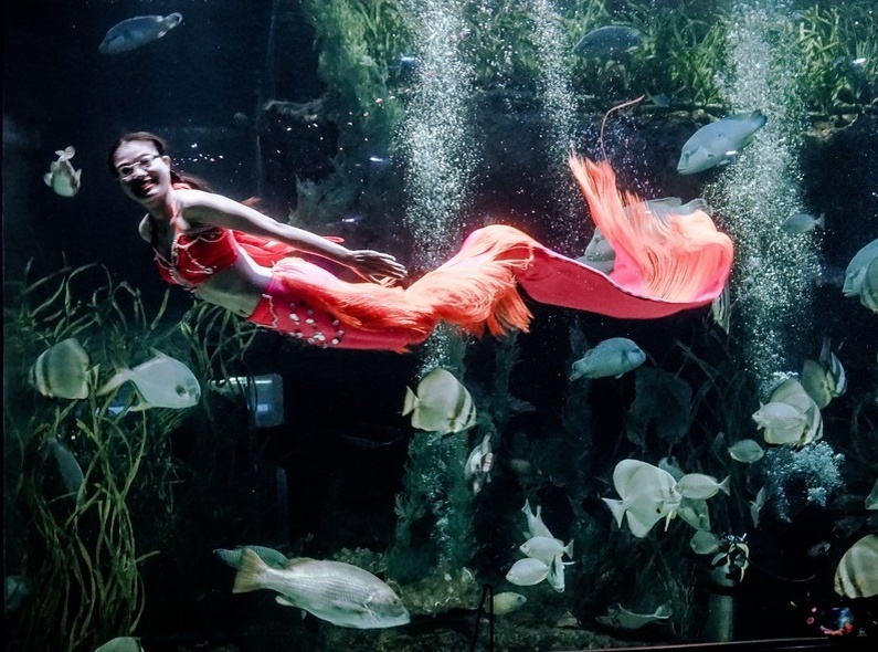   Фото: по лицензии CC0 PxHere.com