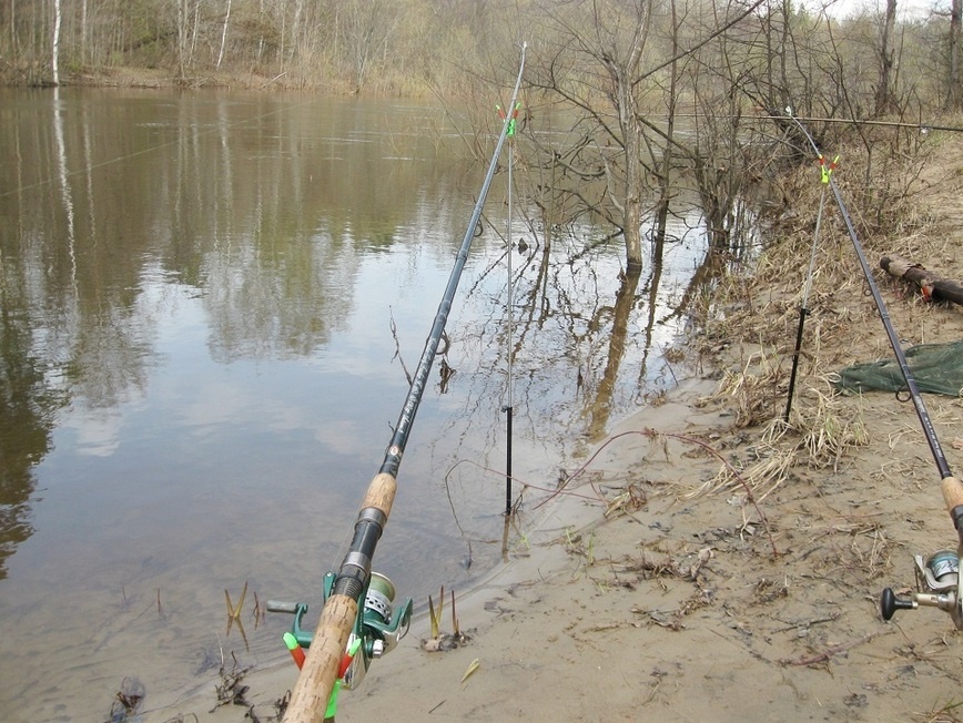     Фото автора.