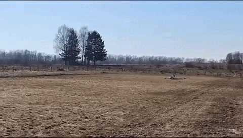    Наши разработки, которые пока, увы, не доходят до армии. Видео: тг-канал "Крепкое слово"