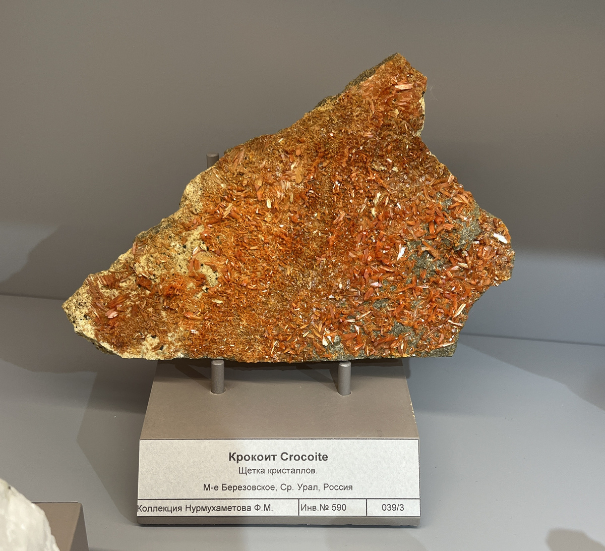 Крокоит м-ие Березовское, Средний Урал. Музей Планета, Екатеринбург, 15.06.2025