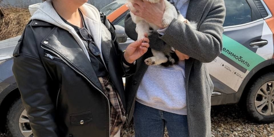 Она произвела фурор, желающих было огромное количество, выбор сделан😉