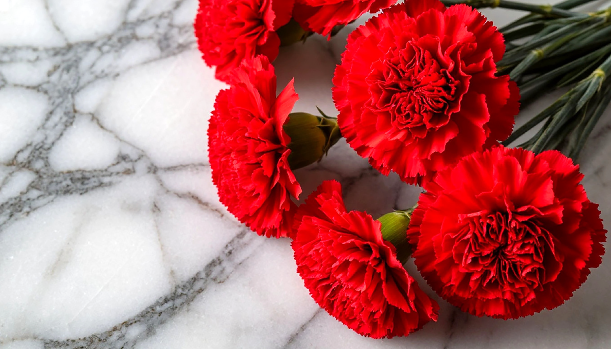 Он приносил цветы и подолгу проводил время рядом с памятником.