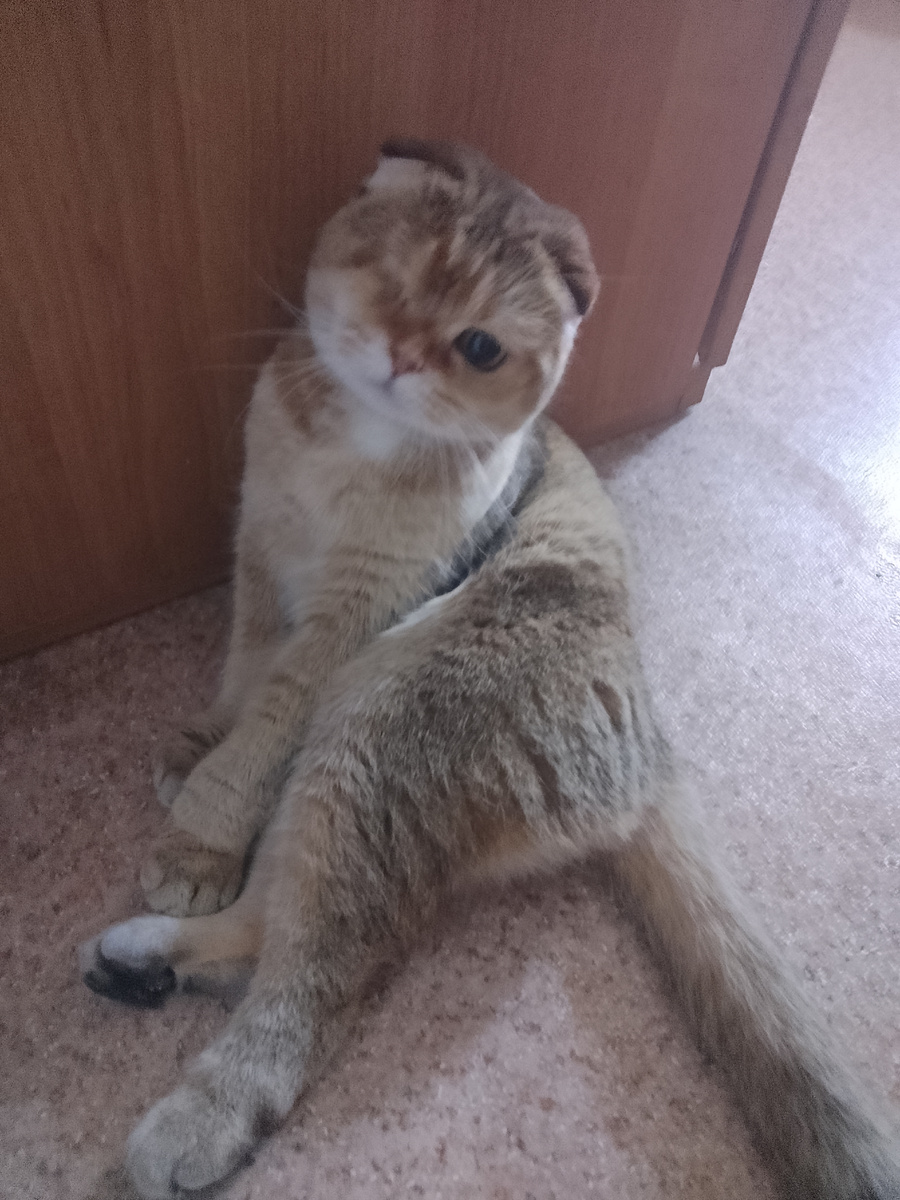 Не я, Наташа, не я. Грустно, что ты мне не веришь...