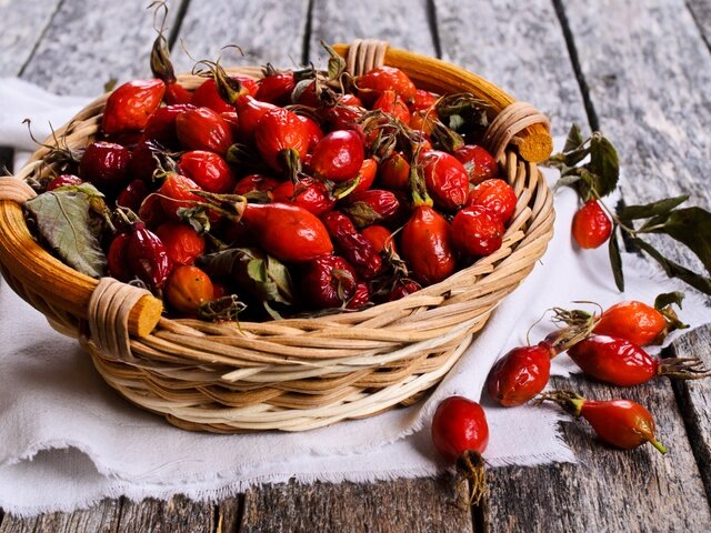    Фото: depositphotos/Shusha