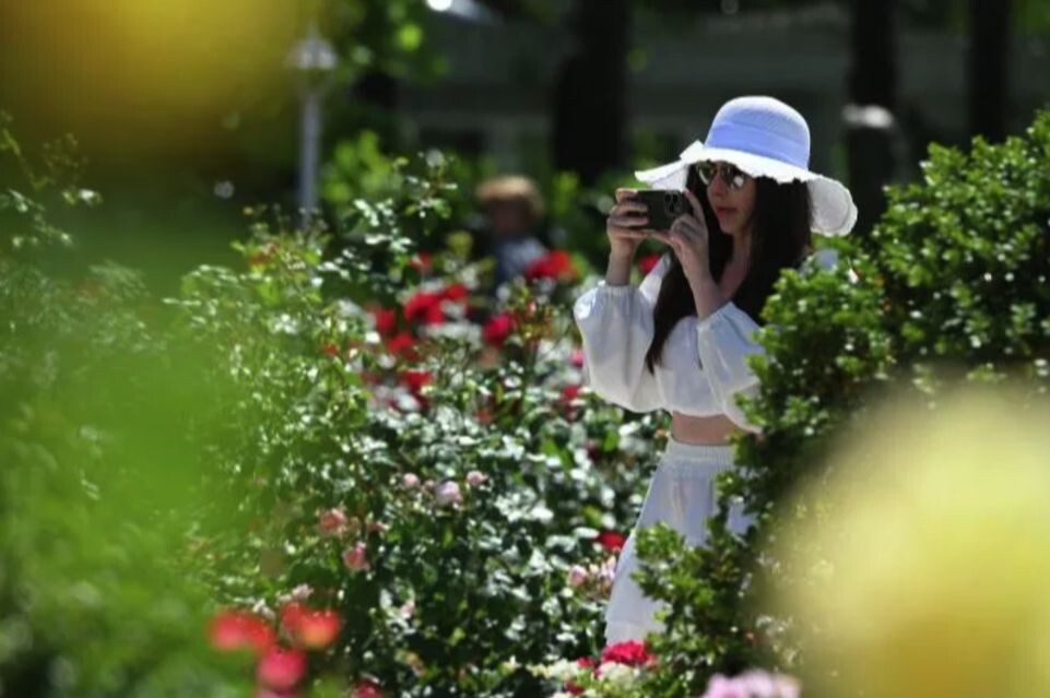    РИА «Новости»