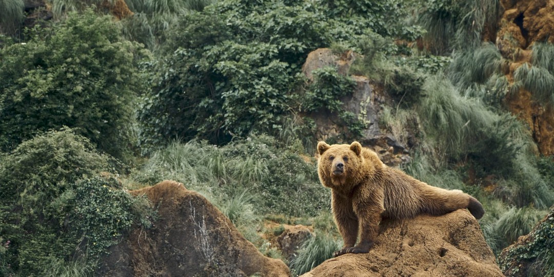 Лучшие новости региона за неделю — по мнению «Людей Колымы»