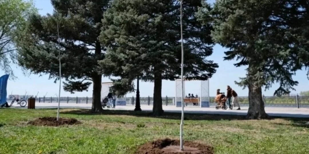 На центральной набережной Астрахани высадили «Сад памяти»