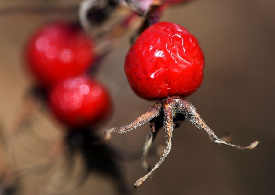     / Источник: © Виталий Аньков/РИА Новости