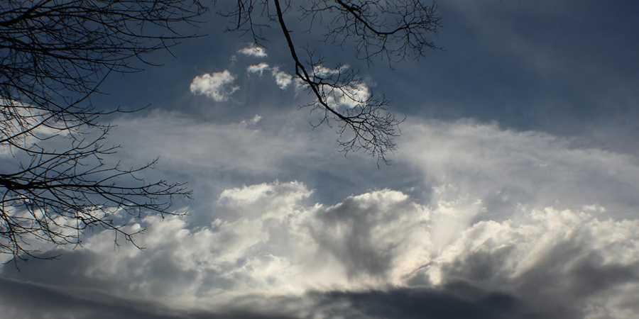 В Саратовской области ожидаются дожди с грозами