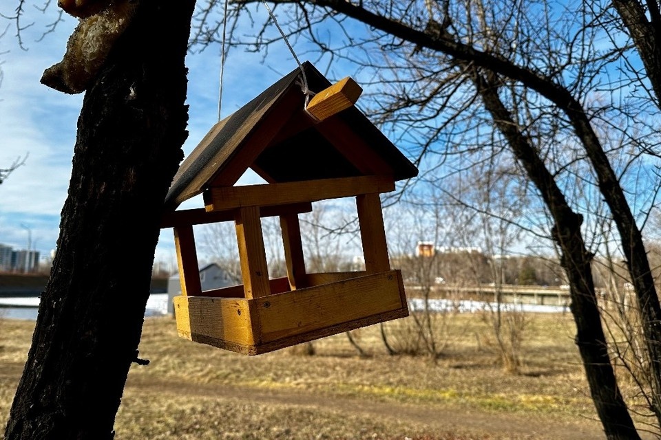    В Иркутске потеплеет до + 6 градусов 19 апреля Полина ПШЕННИКОВА