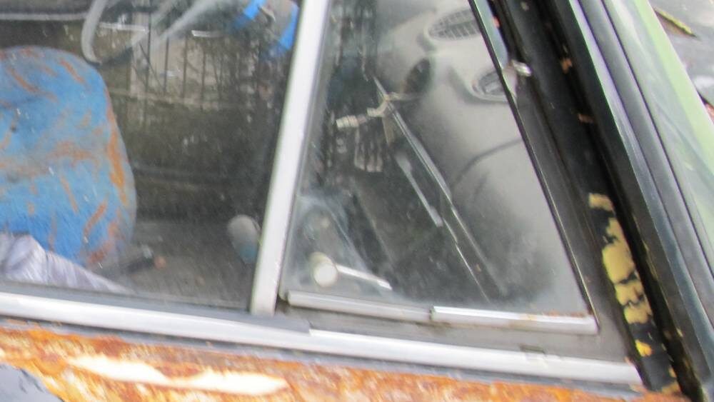    Фото: «Брянские новости»