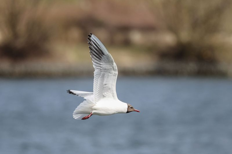    Сергей Булкин/NEWS.ru