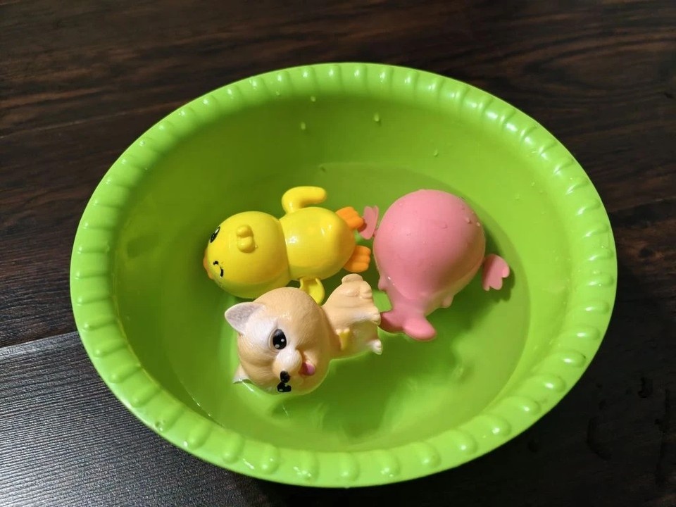    Резиновая собака составила компанию рыбкам. Вадим АЛЕКСЕЕВ