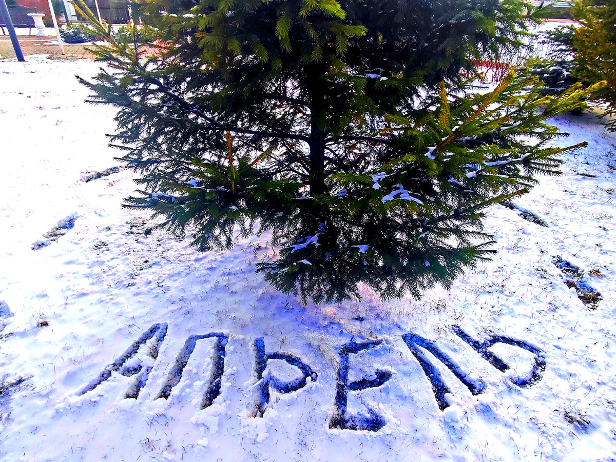 Фото автора. Вот такой у на апрель был и в прошлом году и в этом)