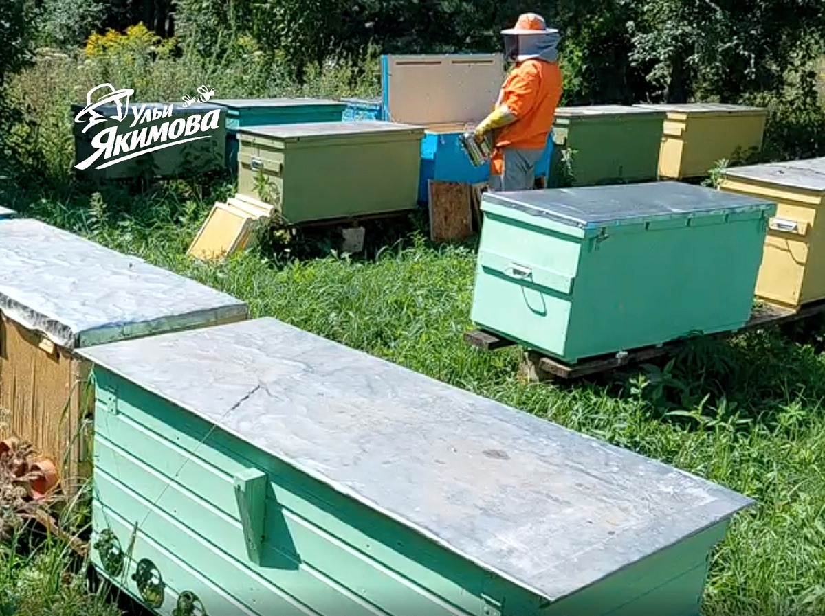 Пасека Андрея Якимова