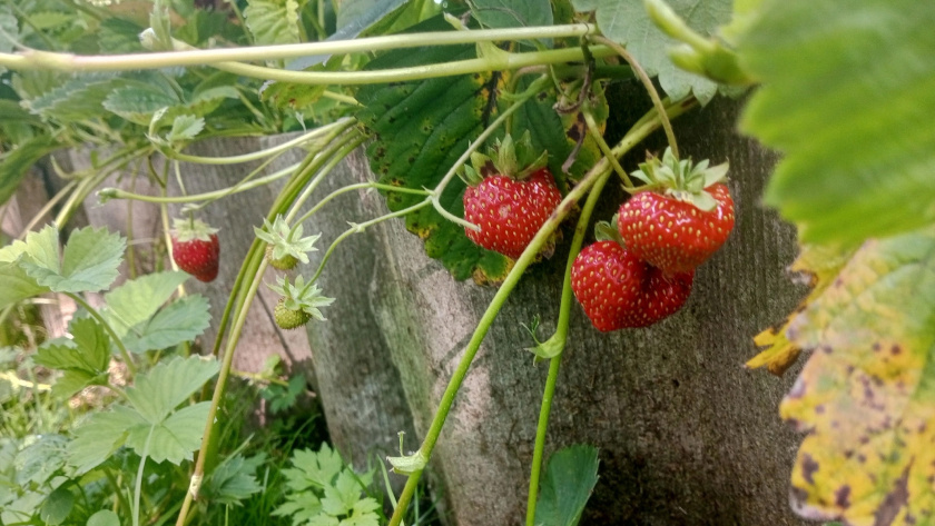    Фото редакции