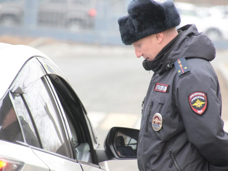     Четырех нелегальных таксистов-иностранцев задержали во Владивостоке фото: пресс-служба УМВД России по Приморскому краю