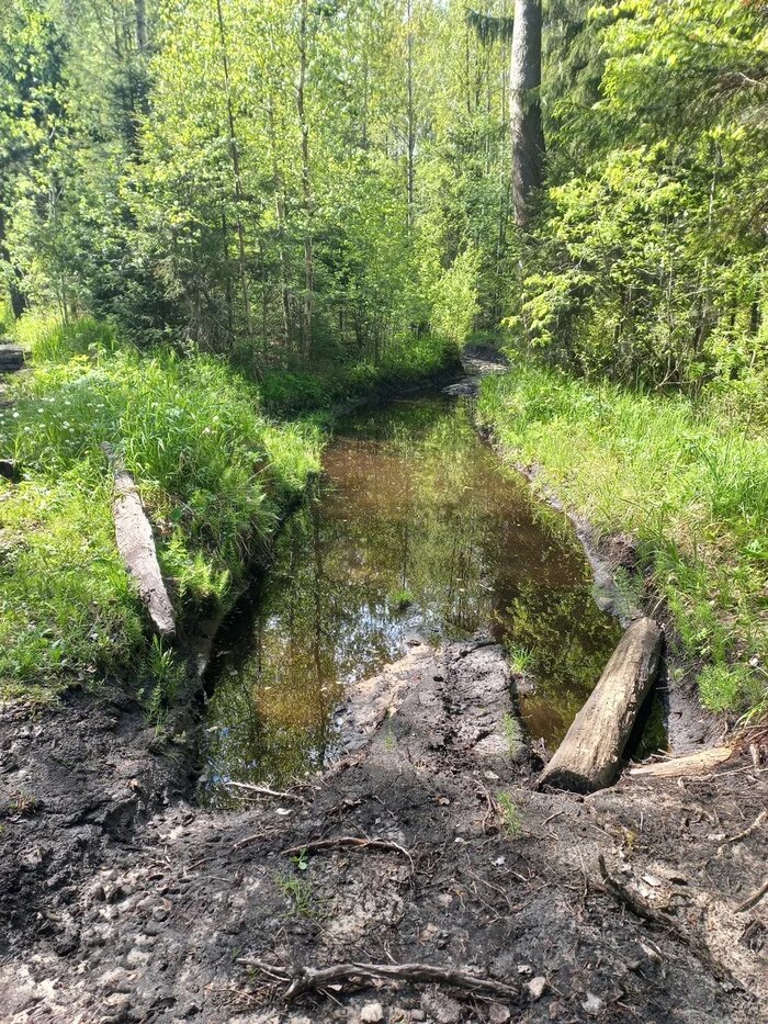 Дорога не для каждого туриста. Изображение взято с сайта https://cs20.pikabu.ru/s/2025/12/01/09/5mb2wvuy.webp