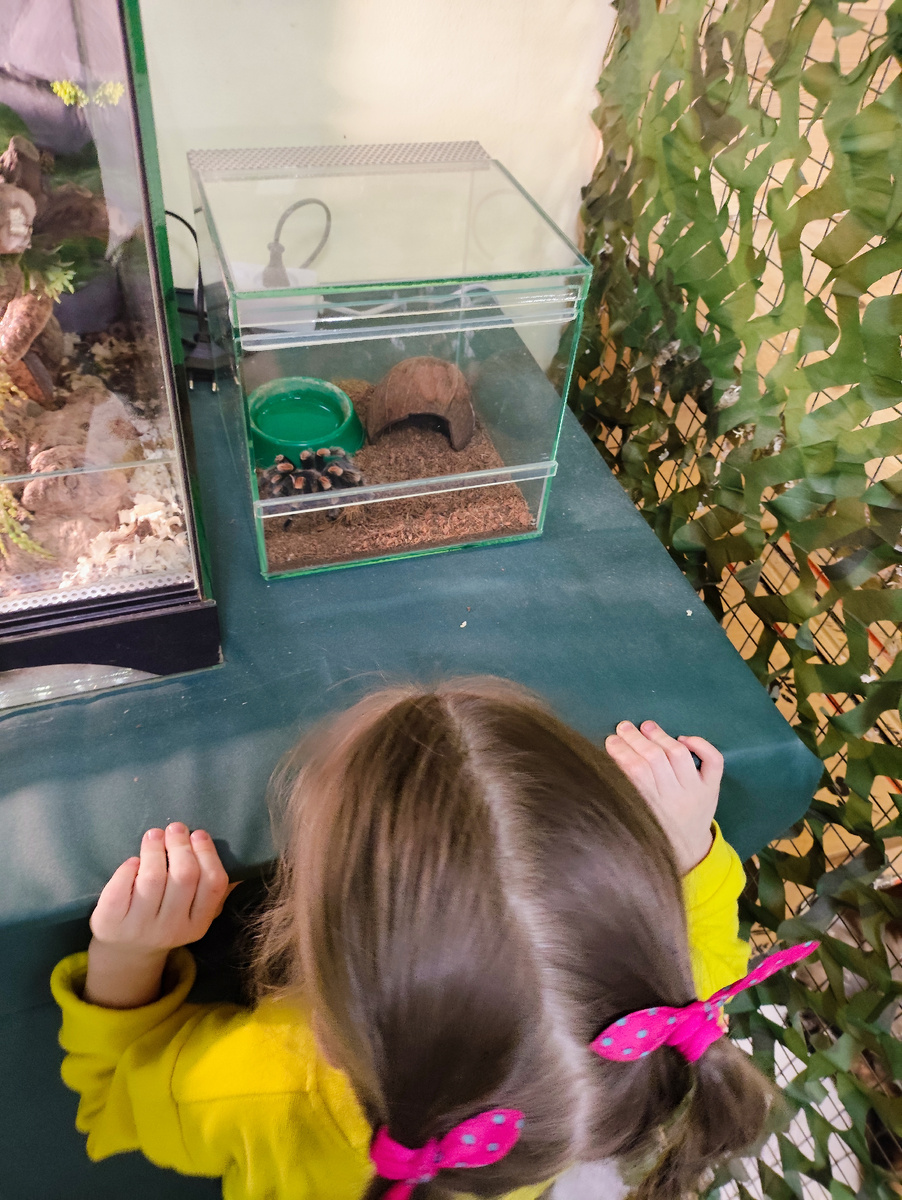 Эта девочка не боится ни врачей, ни пауков