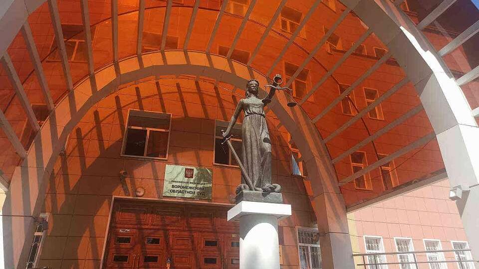 В доход государства изъяли имущество бывшего зампредседателя Воронежского облсуда