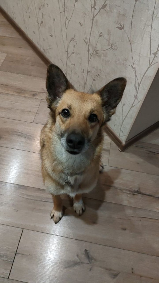 Меня вернули, потому что дочка стала ревновать к маме...