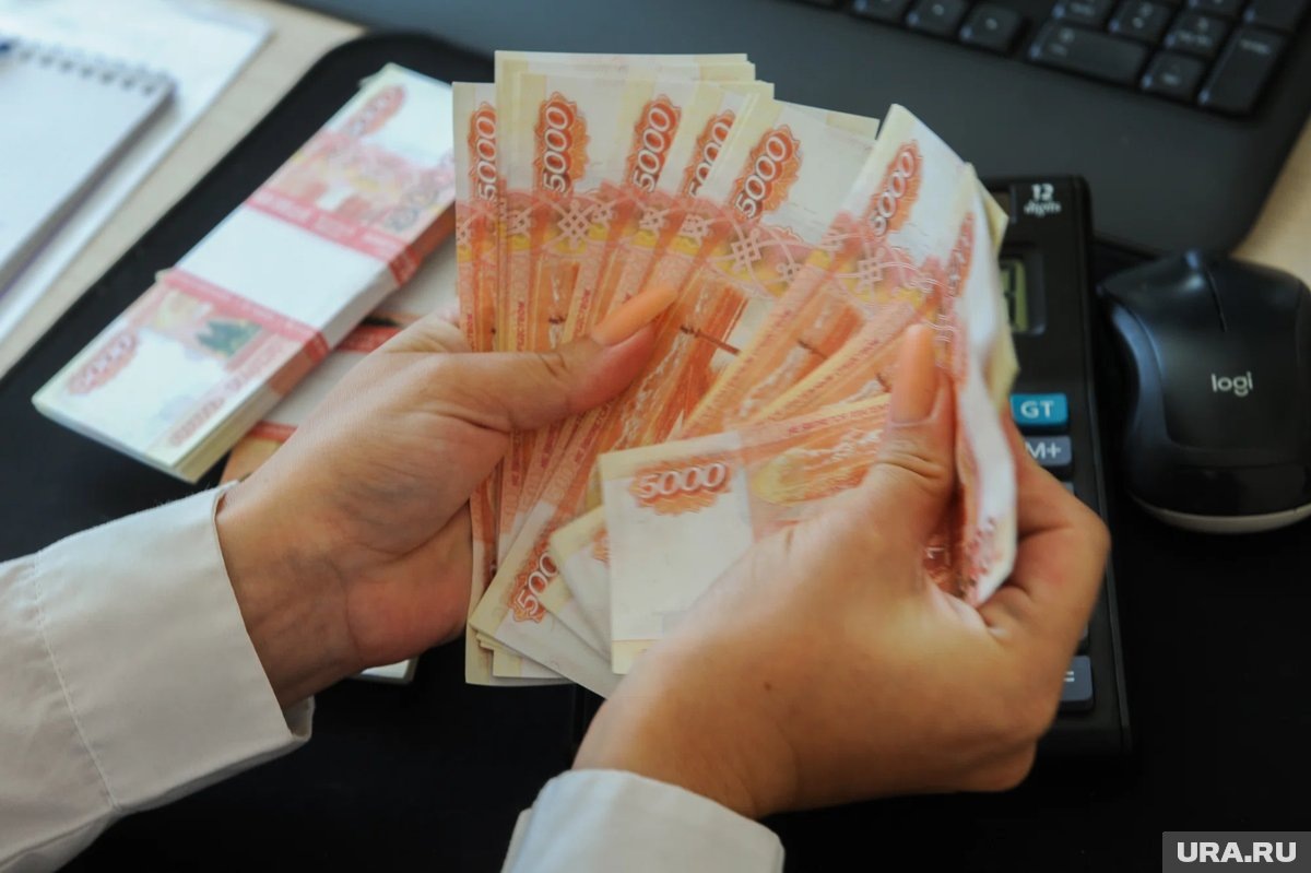     В 2025 году в Ставропольском крае и Севастополе больше расплачивались наличными