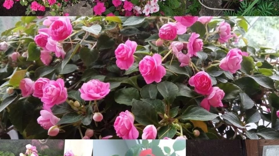 ПОДДЕРЖИВАЕМ СВОИХ