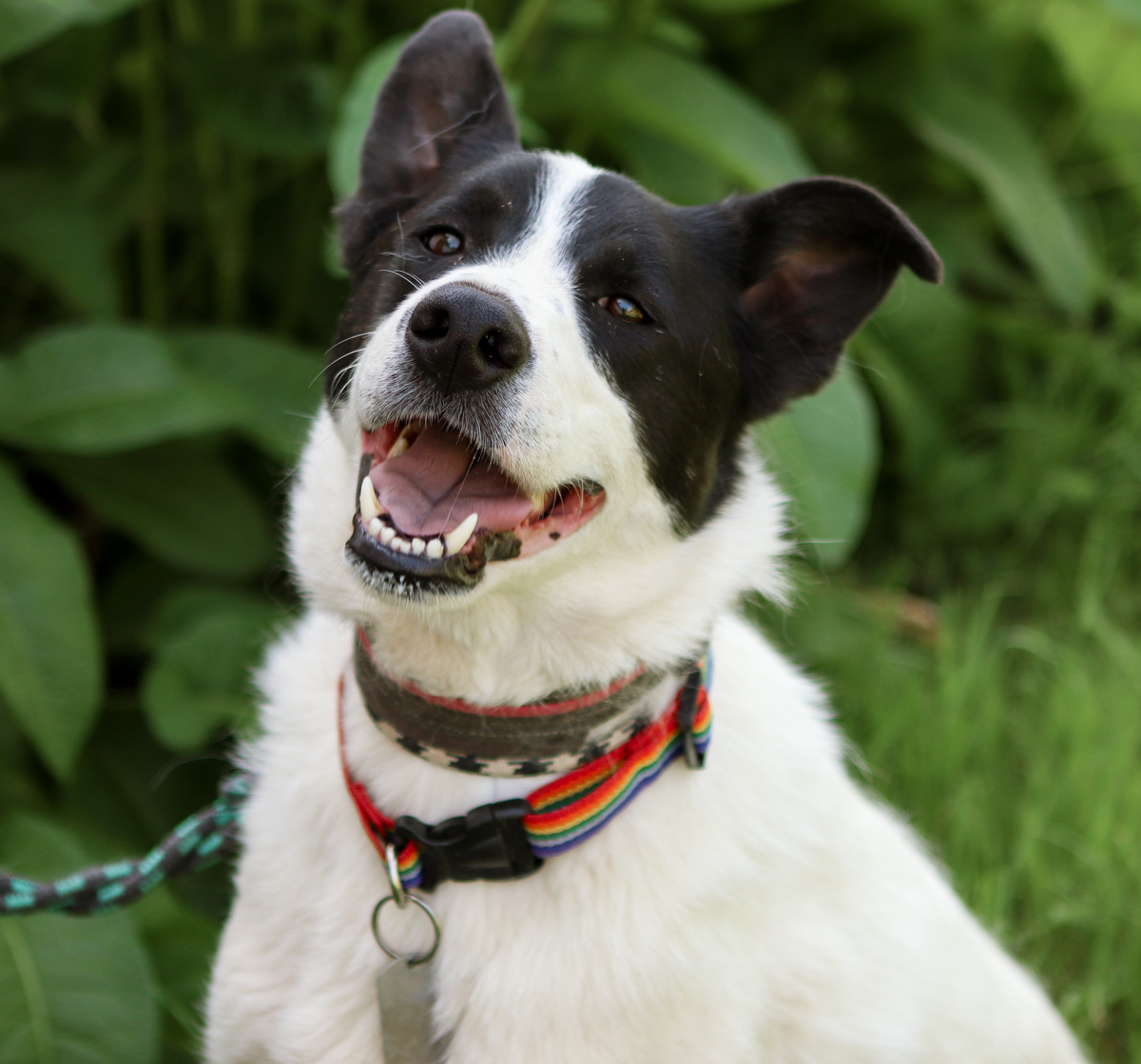 Ну-ка, что это такое?:)