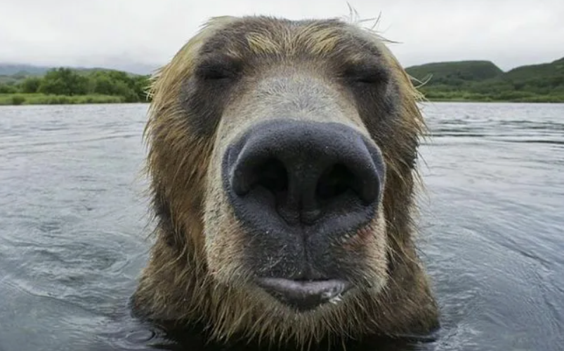 Дух Анкориджа. Кто-то задрал двух десантников США возле военной базы на Аляске, где был Путин