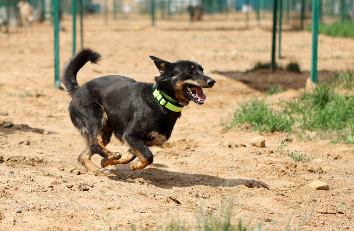 Это я люблю))