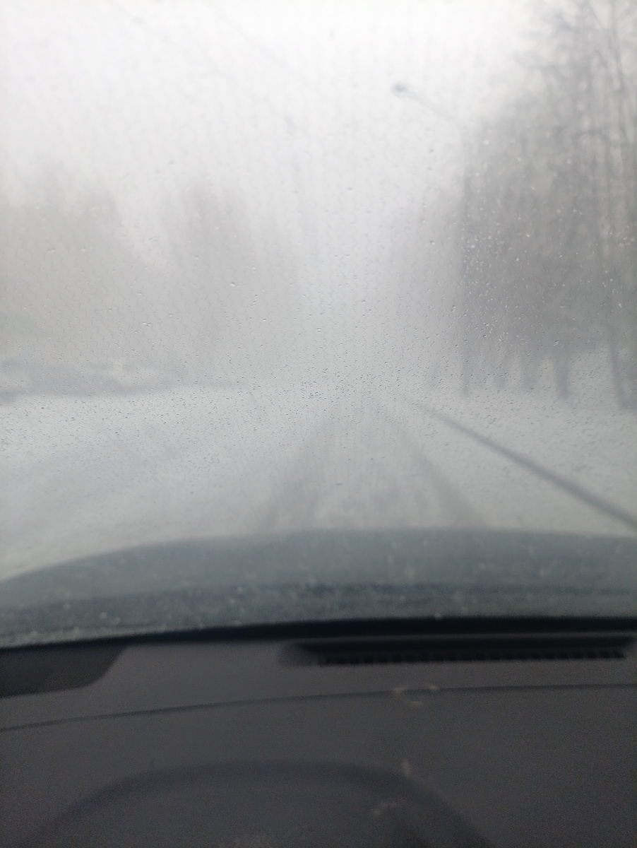 14 апреля 2026 года, метель- матушка, видимость менее 50 метров 