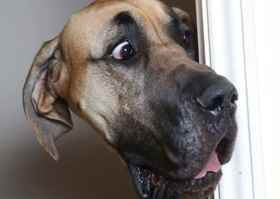 -Чей я?! Хорошая игра! Мне нравится!