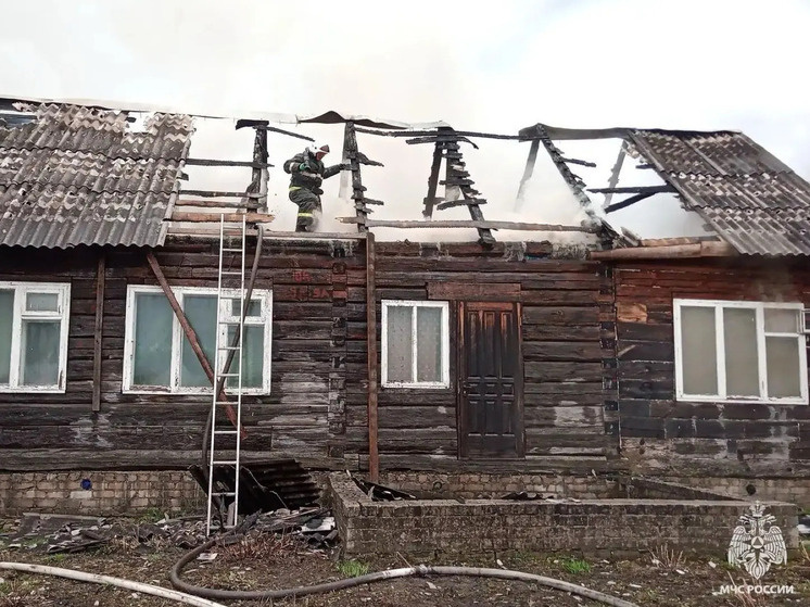     фото: пресс-служба мчс по брянской области