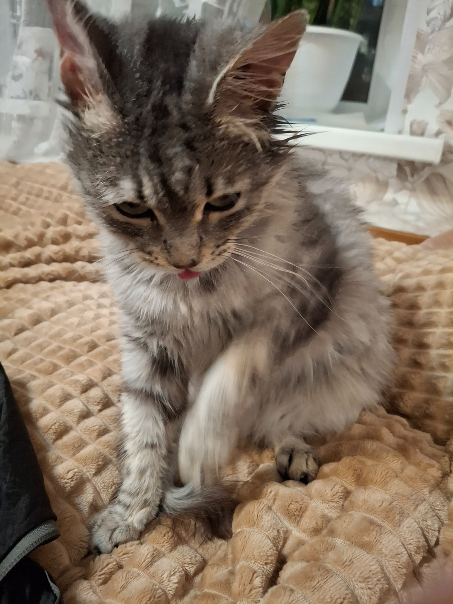 Вот такая пришла к нам