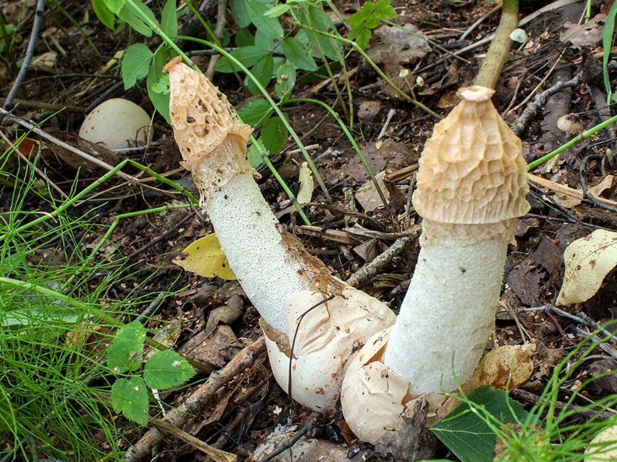 Очень рады поприветстовать читателей!