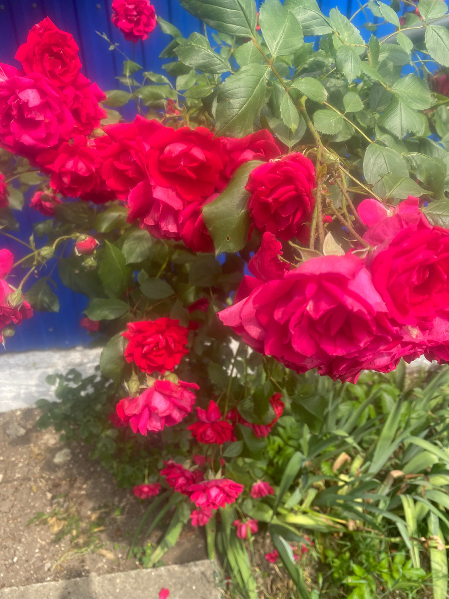 Фото автора