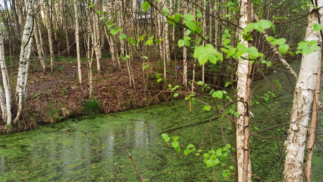    фото: Царьград