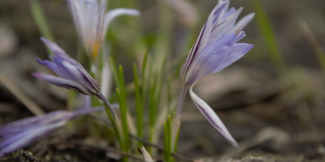 Сегодня погода порадует нас сухим и ясным днём
