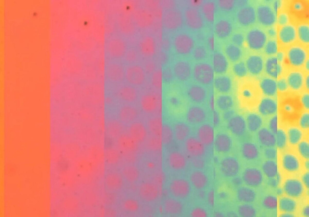    Вдохновляясь кожей осьминога: мягкая плёнка меняет текстуру и цвет по команде