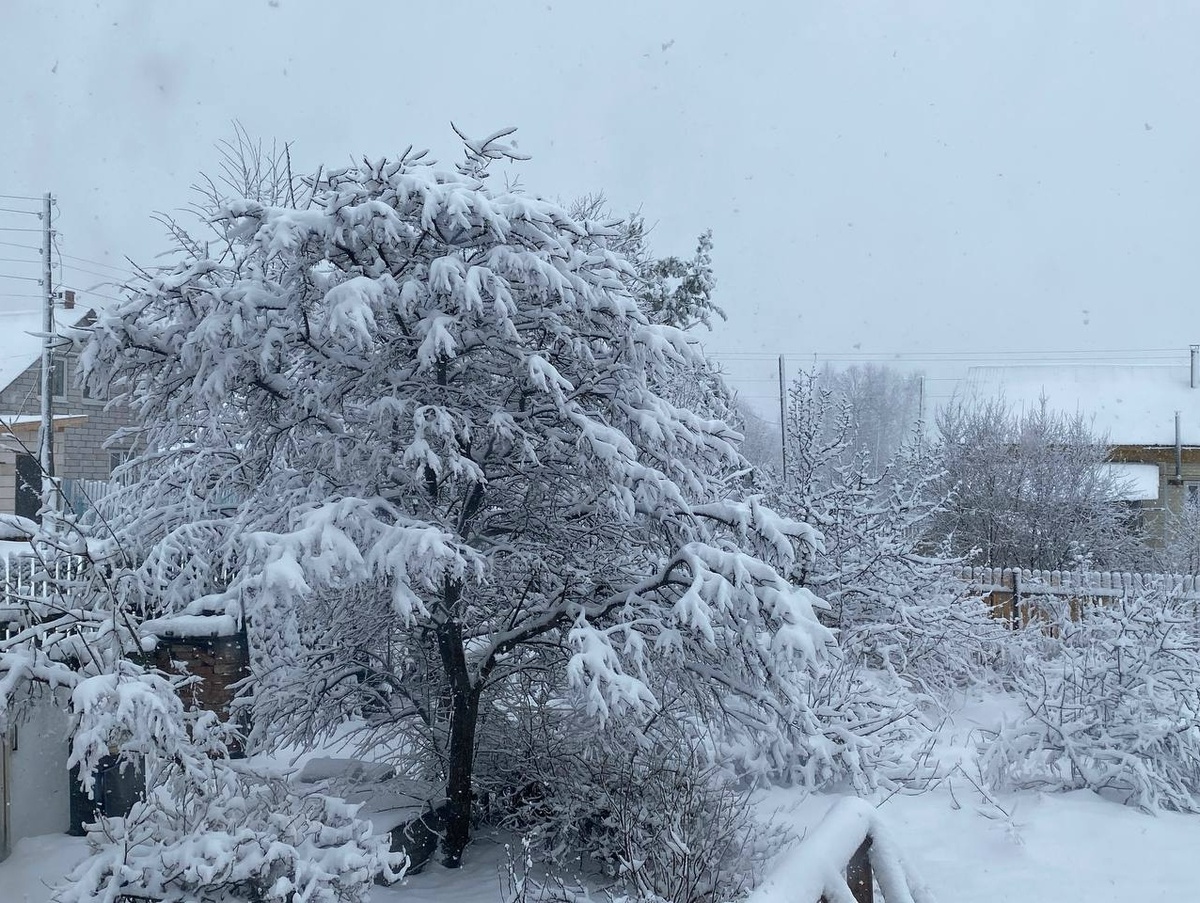    Фото: Константин Седегов, ПН