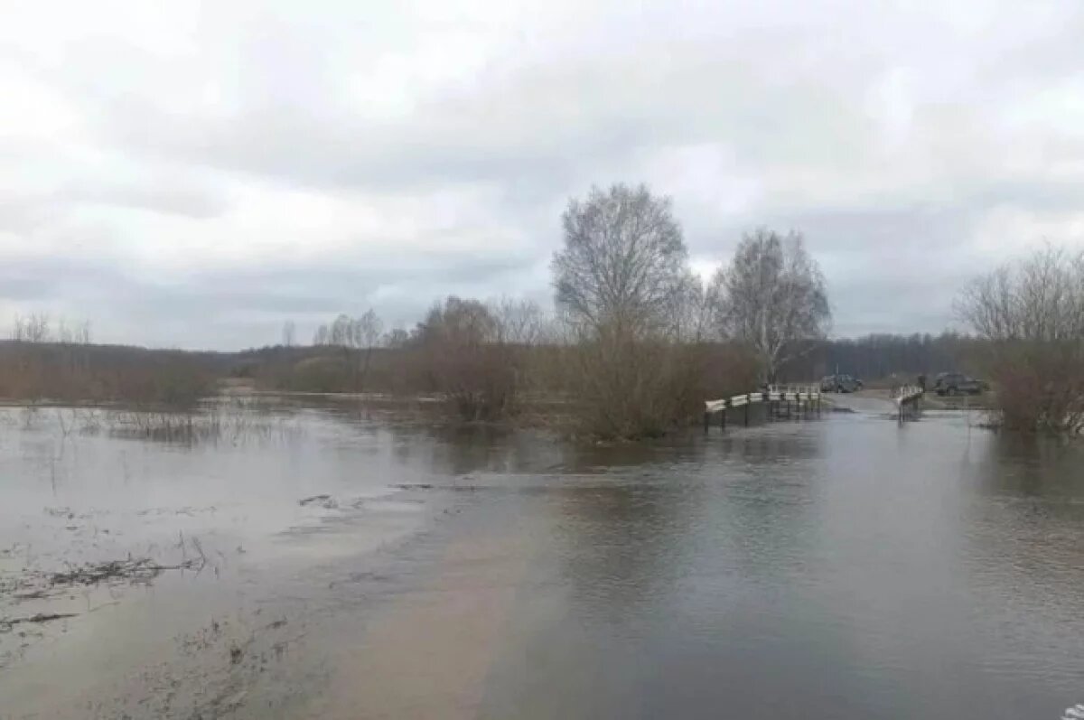    Паводки в Нижегородской области: вода отступает, но угроза еще сохраняется