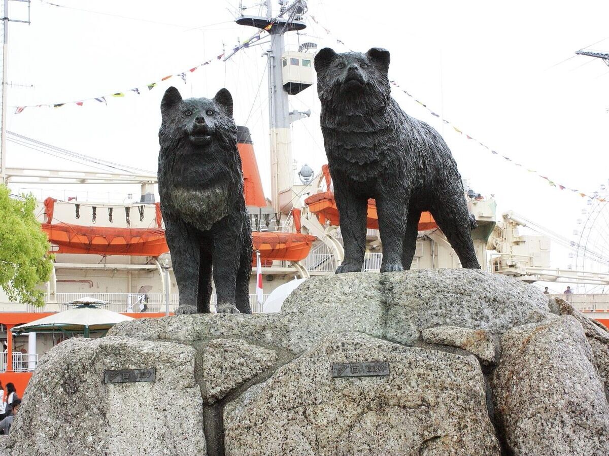    Памятник Таро и Дзиро, Нагоя, Япония | CC BY-SA 4.0 / Tomio344456 / 日本語: ガーデンふ頭にあるタロとジロの像（名古屋市港区港町、2009年（平成21年）5月）
