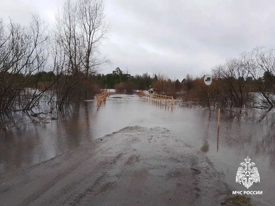    Источник: пресс-служба ГУ МЧС России по Костромской области